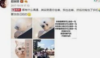 探索儋州市最新的18馃埐免费版，轻松享受优质内容