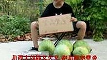 从变化到现状：www.199麻豆官方版在宿迁市的独特地位