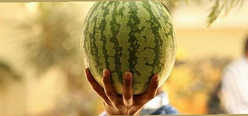 关于爱液视频安装包下载的最新动向与背景解析