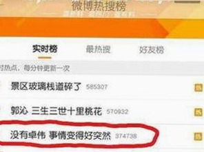 从争议到便利：禁漫天堂下载的现状与反思