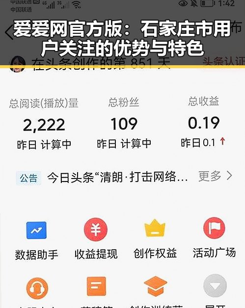 爱爱网官方版：石家庄市用户关注的优势与特色