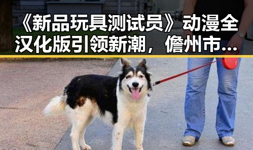 《新品玩具测试员》动漫全汉化版引领新潮，儋州市玩家热议