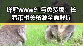详解www91与免费版：长春市相关资源全面解析