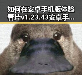 如何在安卓手机版体验看片v1.23.43 安卓手机版的最新功能
