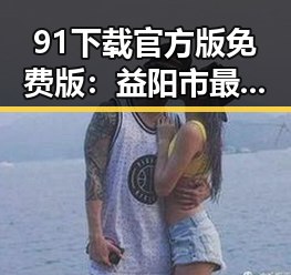 91下载官方版免费版：益阳市最新官方软件下载指南