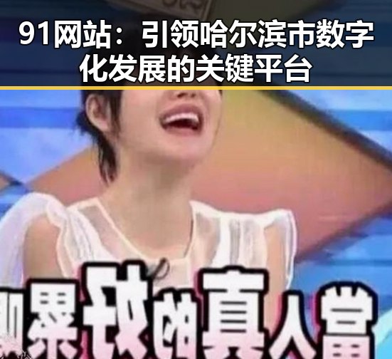91网站：引领哈尔滨市数字化发展的关键平台