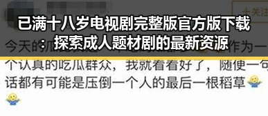 已满十八岁电视剧完整版官方版下载：探索成人题材剧的最新资源