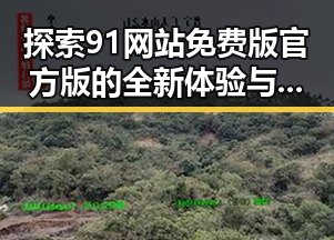 探索91网站免费版官方版的全新体验与发展变化