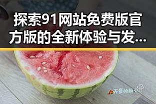 探索91网站免费版官方版的全新体验与发展变化