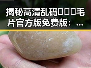 揭秘高清乱码🔞❌♋毛片官方版免费版：景德镇市有关情况分析