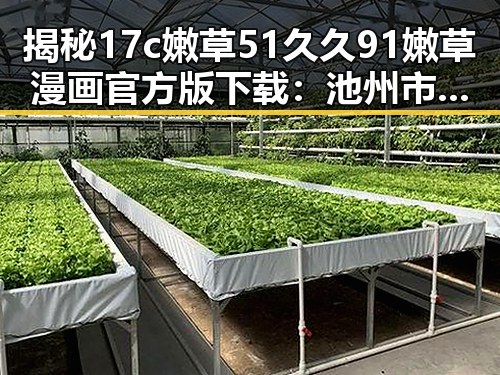 揭秘17c嫩草51久久91嫩草漫画官方版下载：池州市用户的新选择