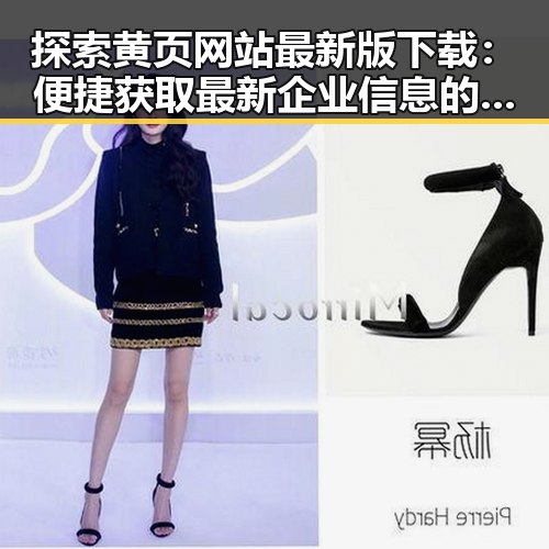 探索黄页网站最新版下载：便捷获取最新企业信息的关键工具