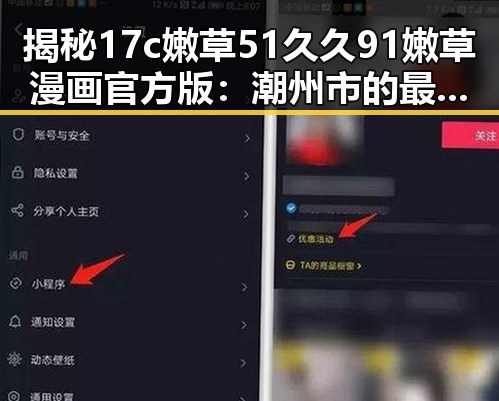 揭秘17c嫩草51久久91嫩草漫画官方版：潮州市的最新动漫体验