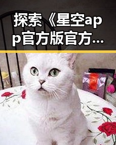 探索《星空app官方版官方版下载》:伊春市用户的实用指南