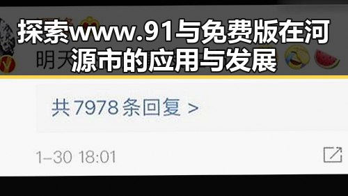 探索www.91与免费版在河源市的应用与发展
