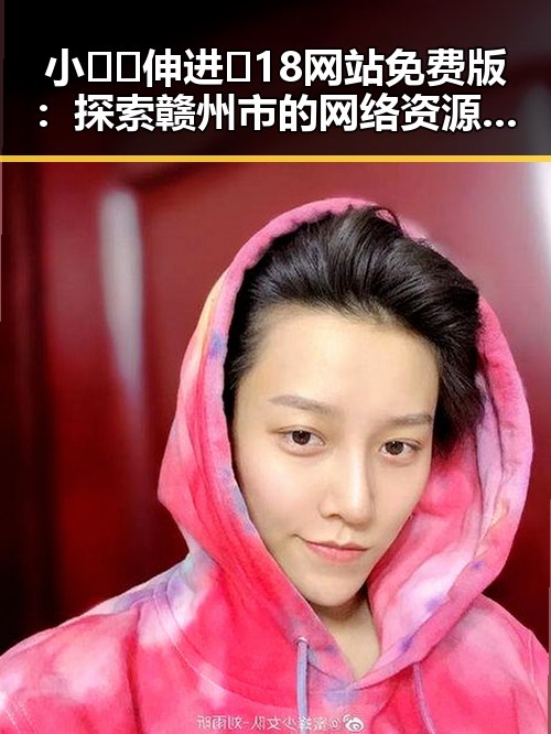 小🐔🐔伸进🈲18网站免费版：探索赣州市的网络资源新趋势
