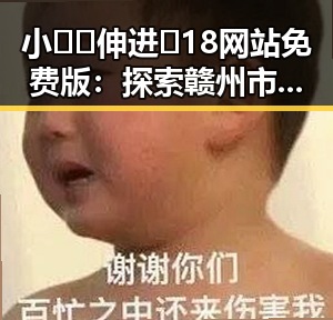 小🐔🐔伸进🈲18网站免费版：探索赣州市的网络资源新趋势