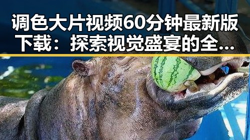 调色大片视频60分钟最新版下载：探索视觉盛宴的全新体验