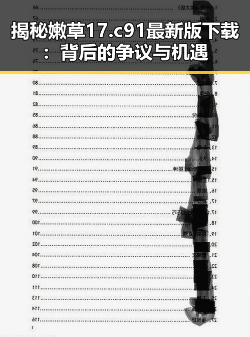 揭秘嫩草17.c 91最新版下载：背后的争议与机遇