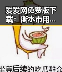 爱爱网免费版下载：衡水市用户的最佳选择