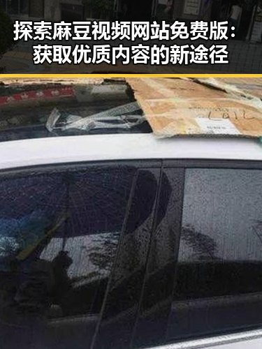 探索麻豆视频网站免费版：获取优质内容的新途径