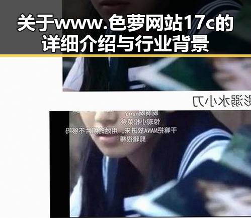 关于www.色 萝网站17c的详细介绍与行业背景