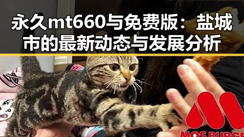 永久mt660与免费版：盐城市的最新动态与发展分析