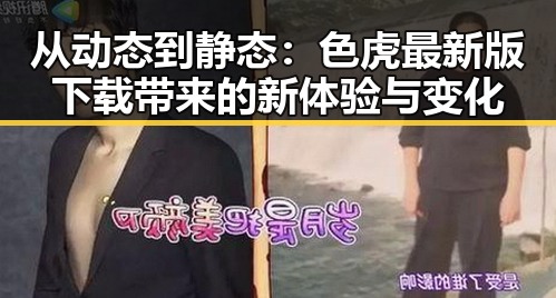 从动态到静态：色虎最新版下载带来的新体验与变化