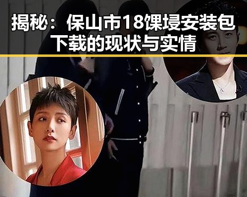 揭秘：保山市18馃埐安装包下载的现状与实情
