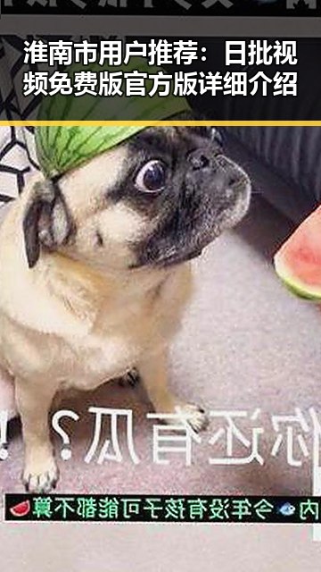 淮南市用户推荐：日批视频免费版官方版详细介绍