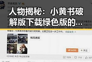 人物揭秘：小黄书破解版下载绿色版的背后故事