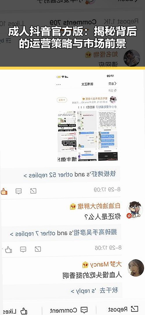 成人抖音官方版：揭秘背后的运营策略与市场前景