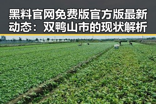 黑料 官网免费版官方版最新动态：双鸭山市的现状解析
