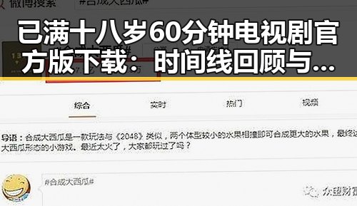 已满十八岁60分钟电视剧官方版下载：时间线回顾与详细介绍