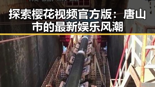 探索樱花视频官方版：唐山市的最新娱乐风潮