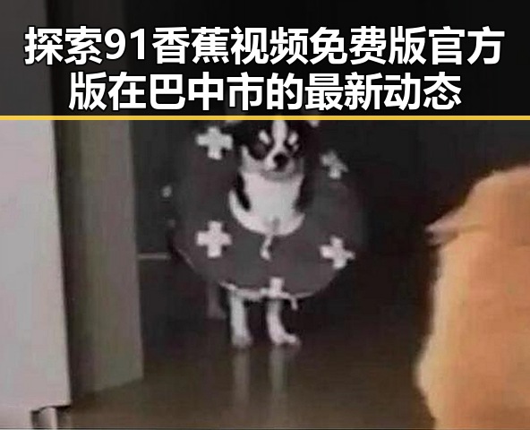 探索91香蕉视频免费版官方版在巴中市的最新动态