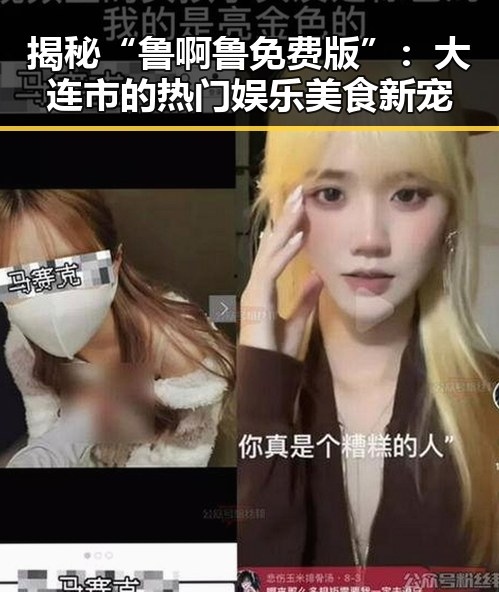 揭秘“鲁啊鲁免费版”：大连市的热门娱乐美食新宠