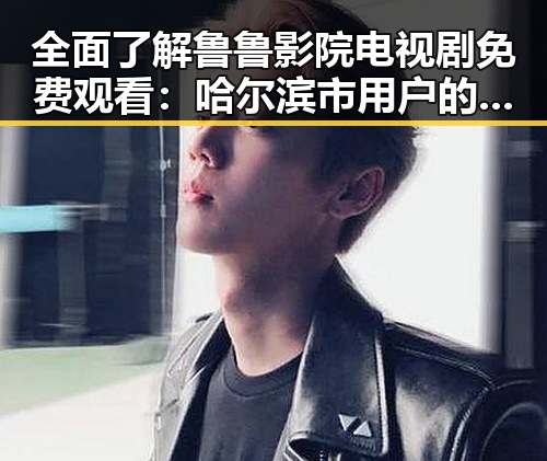 全面了解鲁鲁影院电视剧免费观看:哈尔滨市用户的优选平台