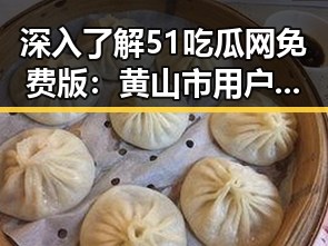 深入了解51吃瓜网免费版：黄山市用户的娱乐新宠