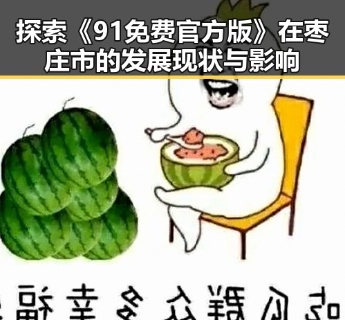 探索《91免费官方版》在枣庄市的发展现状与影响