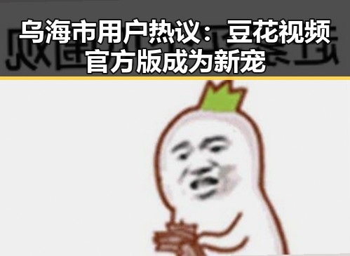 乌海市用户热议:豆花视频官方版成为新宠