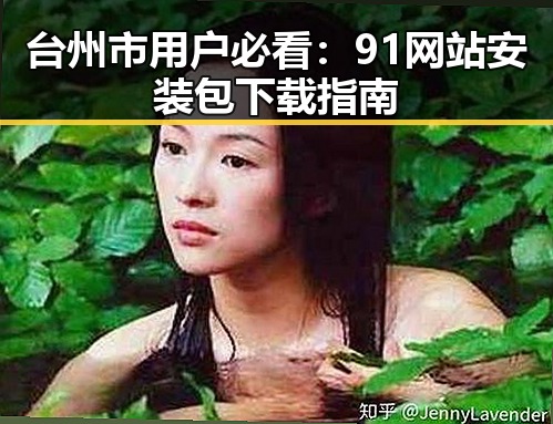 台州市用户必看:91网站安装包下载指南