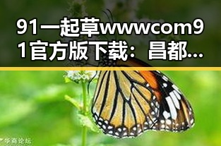 91 一起草wwwcom91官方版下载：昌都市用户的最新选择