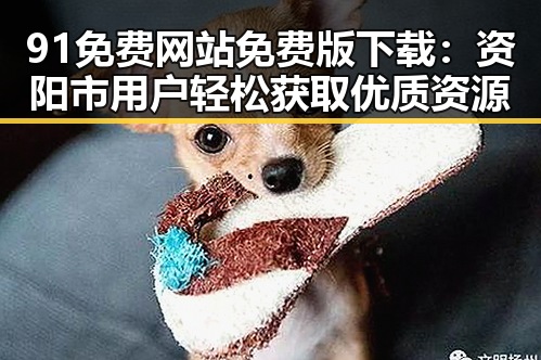 91免费网站免费版下载：资阳市用户轻松获取优质资源