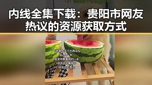 内线全集下载：贵阳市网友热议的资源获取方式
