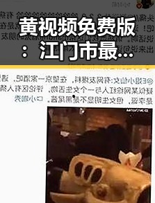 黄视频免费版：江门市最新资源分享引热议