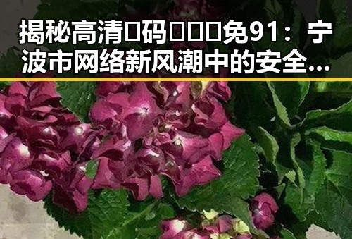 揭秘高清🈚码🔞❌♋免91：宁波市网络新风潮中的安全守护者