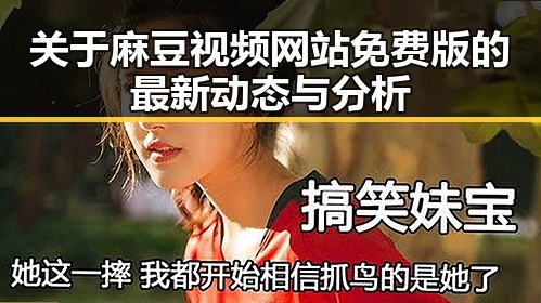 关于麻豆视频网站免费版的最新动态与分析