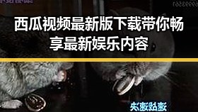西瓜视频最新版下载带你畅享最新娱乐内容