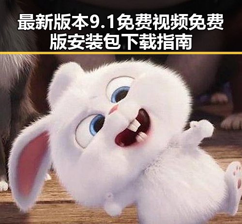 最新版本9.1免费视频免费版安装包下载指南